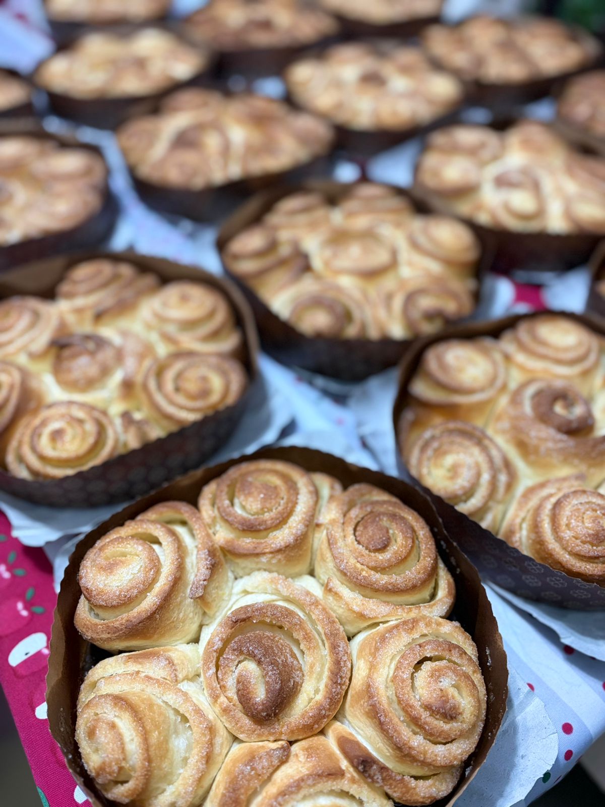 Panadería Urquiza - Colonia Belgrano